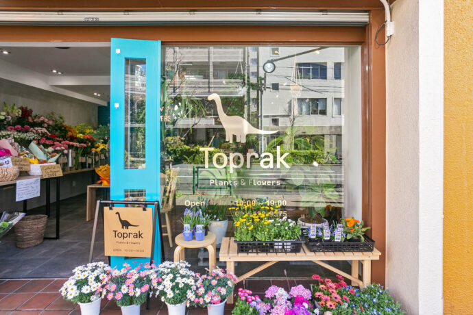 Toprak plants&flowers