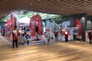 ヤンマーの夏祭り